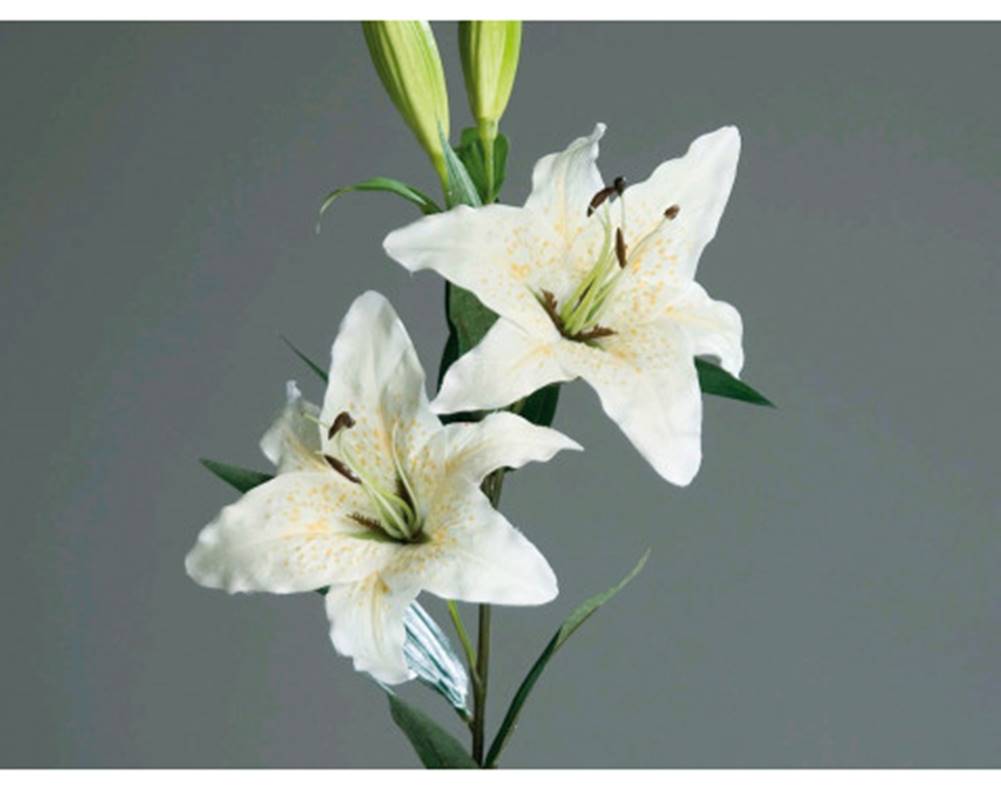 ASKO - NÁBYTOK Umelá kvetina Lilie 84 cm, krémová, značky ASKO - NÁBYTOK