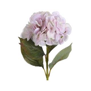 Tescoma Umelá kvetina Hortenzia svetloružová, 65 cm, značky Tescoma