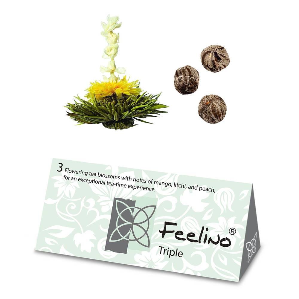 Feelino  Čajové kvety, 6 rôznych odrôd, jednotlivo balené, veľmi produktívne, značky Feelino