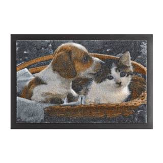 Hanse Home Rohožka  Animals Dog and Cat, 40 x 60 cm, značky Hanse Home