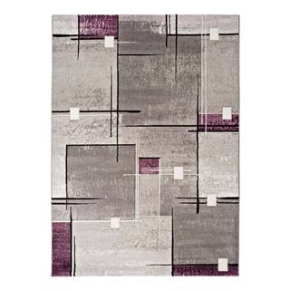 Universal Sivofialový koberec  Detroit, 120 × 170 cm, značky Universal