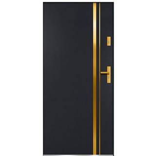 Dvere vchodové Aion S68 90P antracit